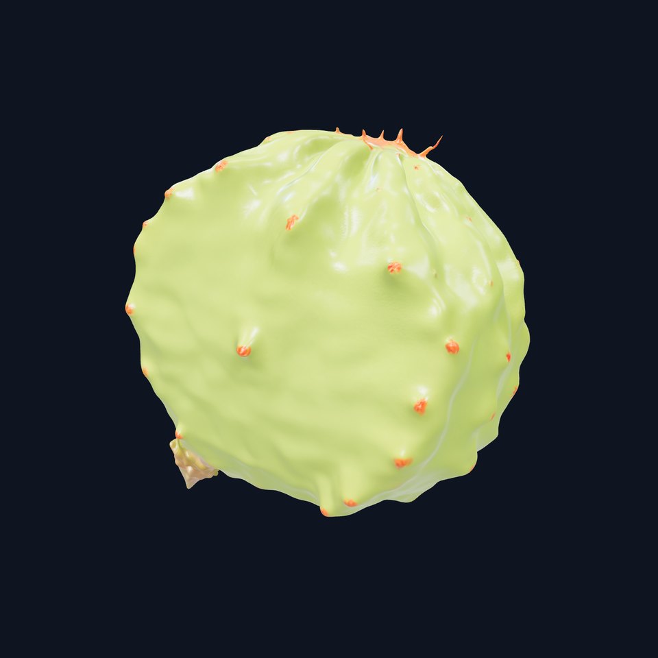 Cactus Model Pack with Detailed Spines and Textures